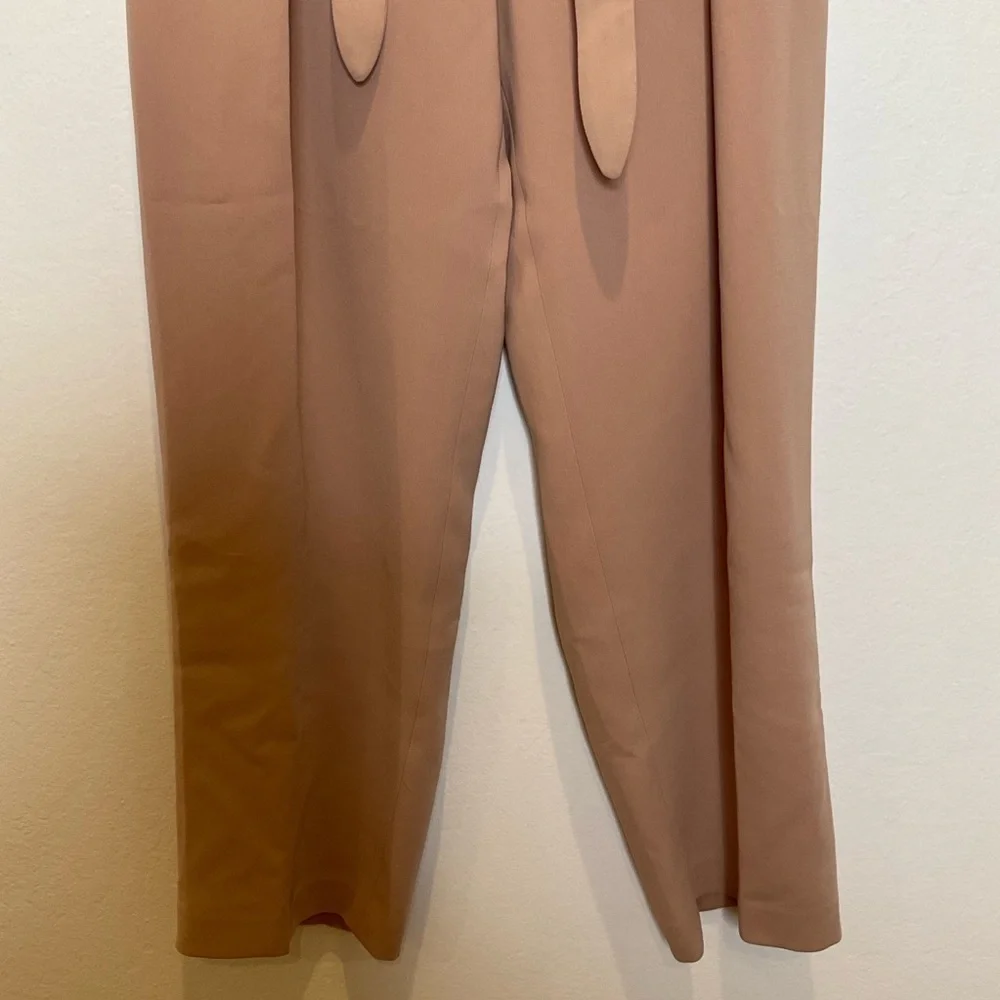 ARITZIA Wilfred Feuille  Wrap Belted Pleated Pants in Blush Size 4